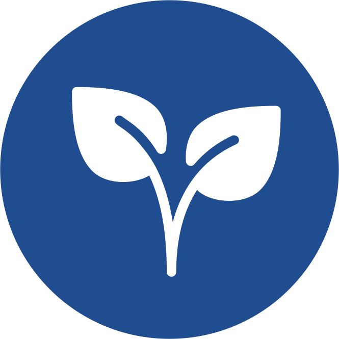 Icon Homepage Blatt